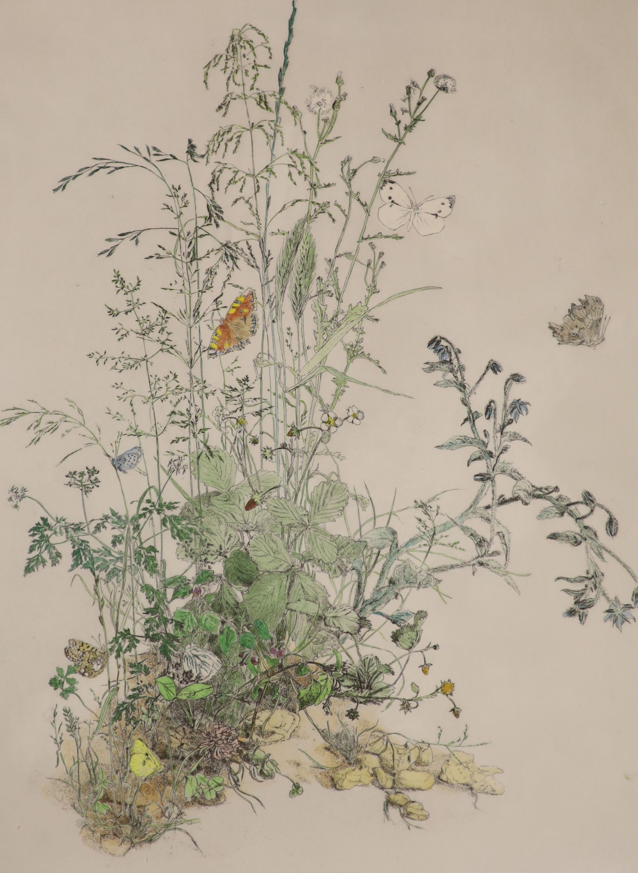 Greenwood, limited edition print, 'Shadowfield', 249/250, 42 x 32cm, Gillian Whaite, etching and watercolour, 'Flowers July', 60 x 44cm, Terence Miligan, etching, 'Tomatoes', and a